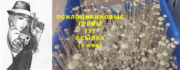 бошки Лихославль