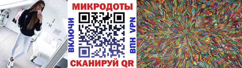 Галлюциногенные грибы Psilocybe  Юрга 