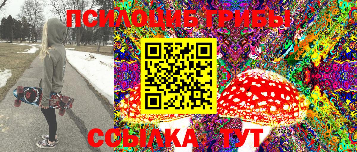 Псилоцибиновые грибы MAGIC MUSHROOMS  Галлюциногенные грибы Psilocybe  Вход с VPN  Юрга 