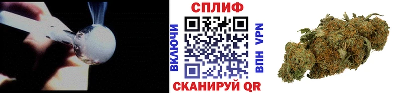 МЕГА как зайти  Юрга  Каннабис SATIVA & INDICA 