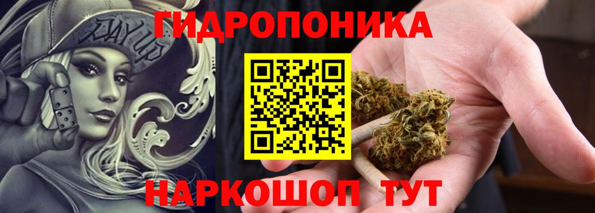 Юрга  Канабис семена  Канабис OG Kush  Конопля OG Kush  Вход с VPN 